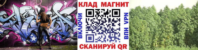 Как найти наркотики Медногорск ГАШ  Alpha PVP  МЕФ  Каннабис 