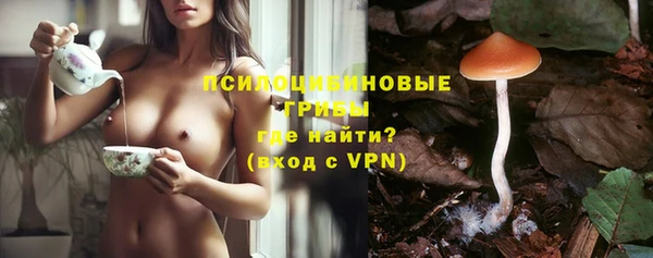 гашик Горнозаводск