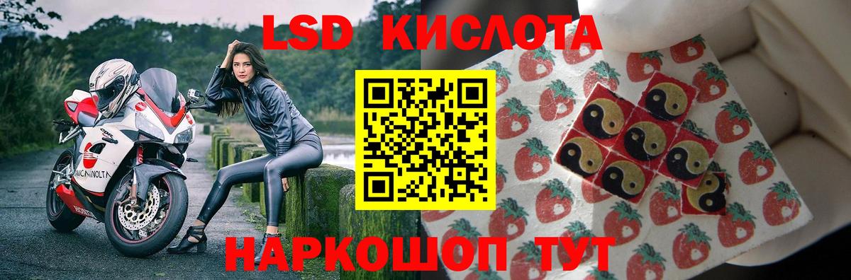 блэк спрут tor  LSD-25 экстази ecstasy  ЛСД экстази кислота  Вход с VPN  Медногорск  LSD-25 экстази 