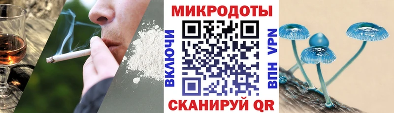 Галлюциногенные грибы Psilocybine cubensis  ОМГ ОМГ как зайти  Медногорск 