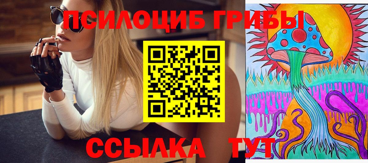 Галлюциногенные грибы MAGIC MUSHROOMS  Псилоцибиновые грибы мицелий  Вход с VPN  Медногорск 