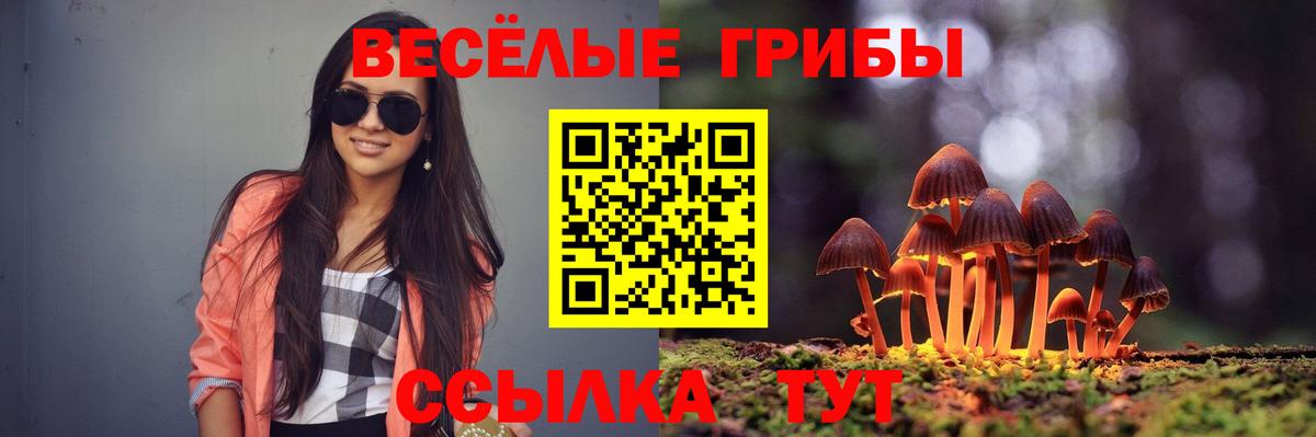 Галлюциногенные грибы Psilocybe  Медногорск 